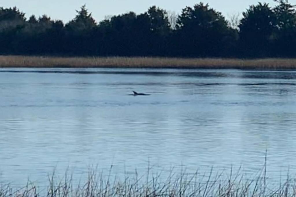 Dolphin Cove - Whole Waterfront House With Dock Villa Ocean Isle Beach Exterior foto